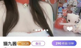 九娘子直播爆料视频大全,揭秘热门视频背后的真相与内幕